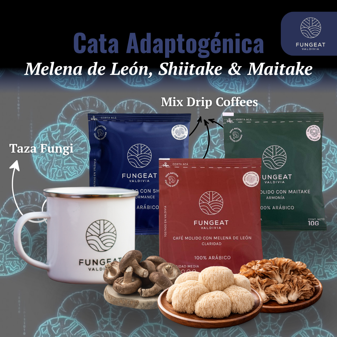 Pack Cyber - Cata Adaptogénica