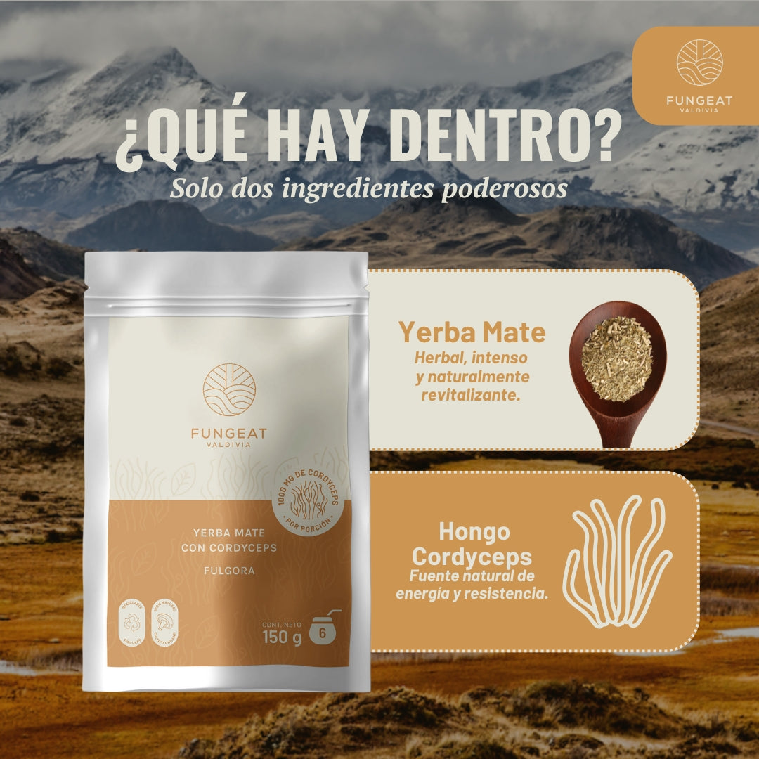 Fulgora Yerba Mate con Cordyceps