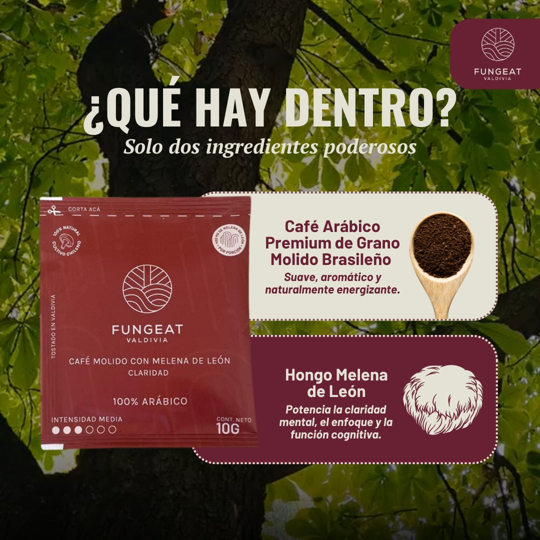 Drip Claridad Con Melena de León