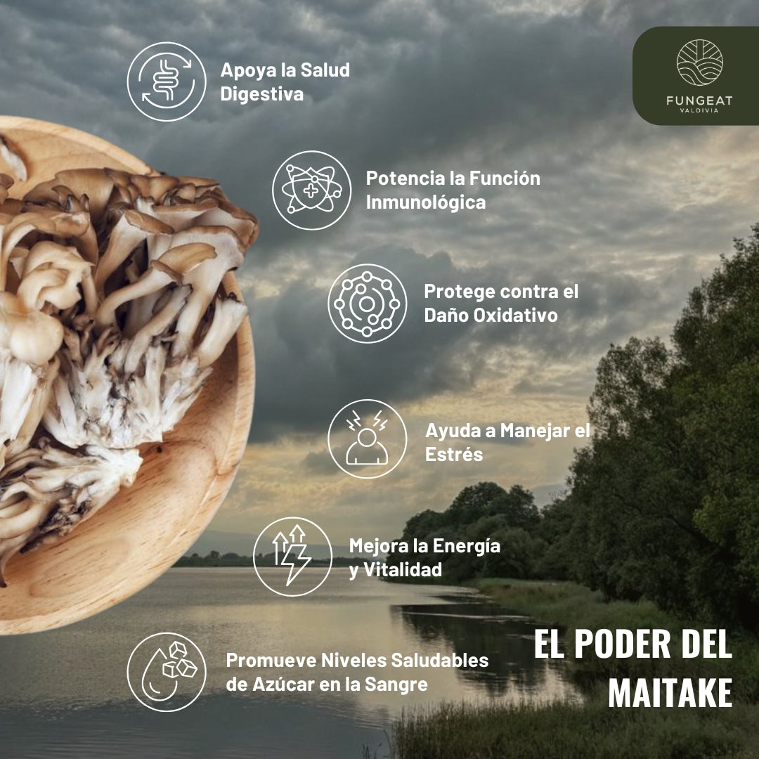 Drip Armonía Con Maitake