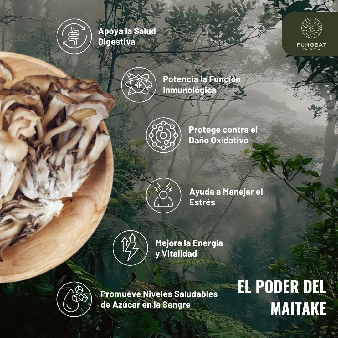 Harmony Coffee with Maitake Mushroom