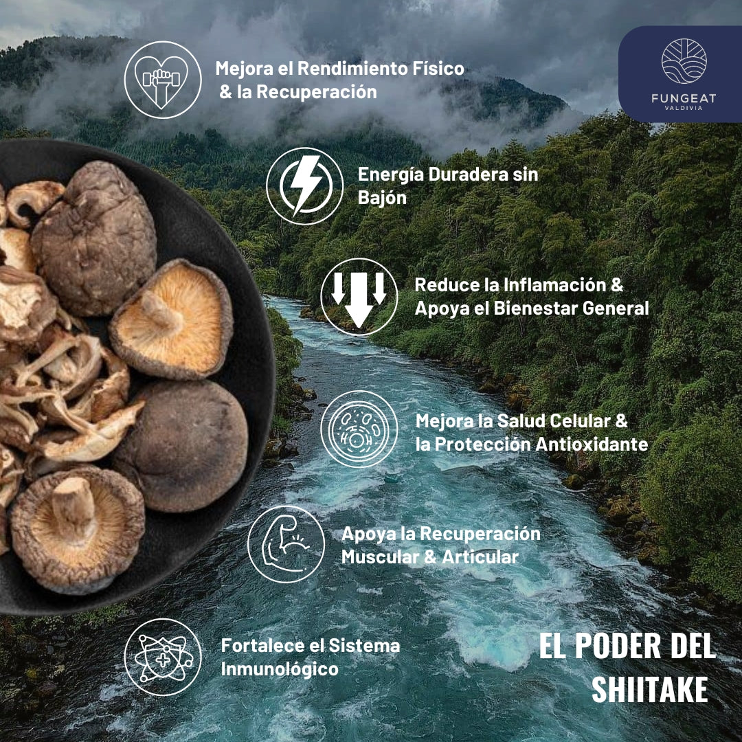 Performance Coffee with Shiitake Mushroom