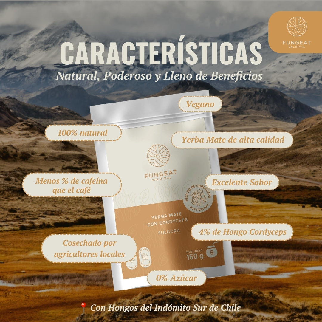 Fulgora Yerba Mate con Cordyceps