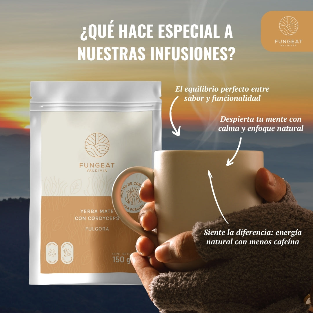 Fulgora Yerba Mate con Cordyceps