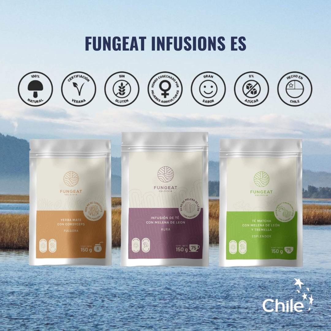 Fulgora Yerba Mate con Cordyceps