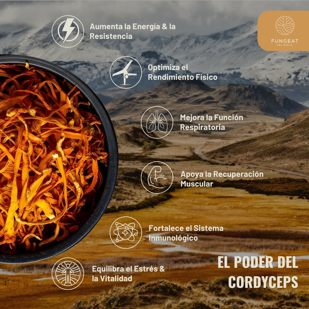 Fulgora Yerba Mate con Cordyceps