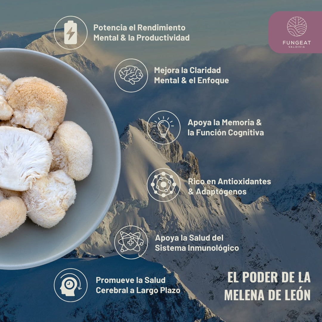 Té Aura con Melena de Leon