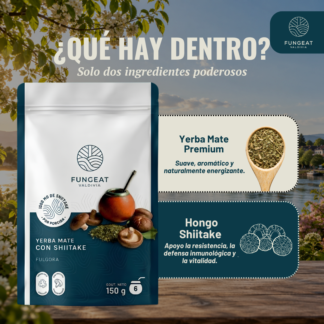Pack Doble Potencia Shiitake (Mate Fulgora 150 g + Café Performance 150 g + 2 Ebooks)