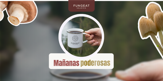 Mañanas Poderosas: Hábitos Simples para Sentirte Mejor Desde Temprano