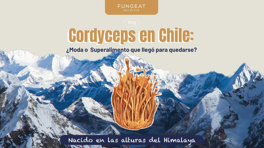 Cordyceps en Chile