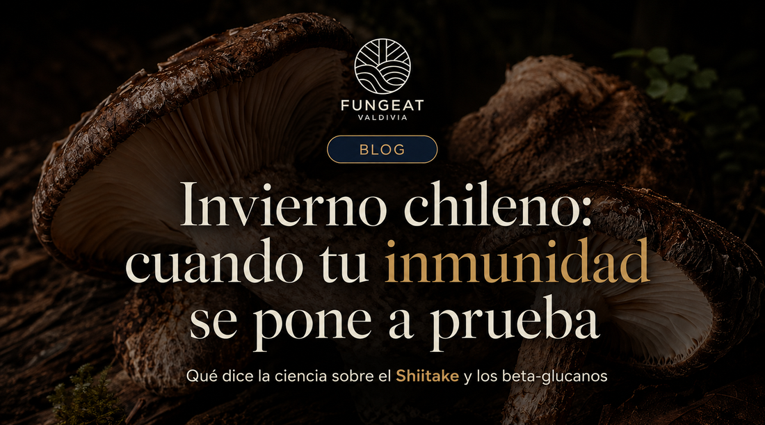 Sistema inmune en invierno: qué dice la ciencia sobre el Shiitake y los beta-glucanos