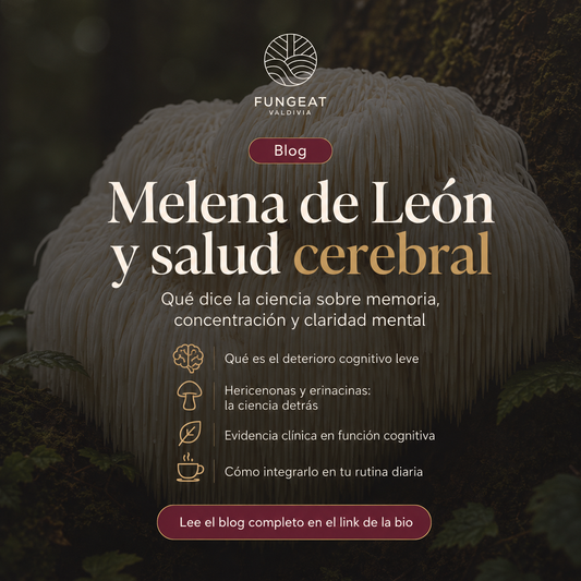 Melena de León y salud cerebral: qué dice la ciencia sobre memoria, concentración y deterioro cognitivo leve