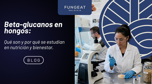 Beta-glucanos en hongos: qué son y por qué se estudian en nutrición y bienestar