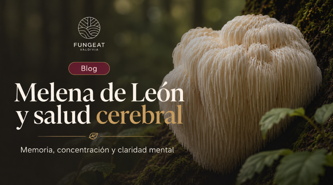 Niebla mental en profesionales y estudiantes: qué dice la ciencia sobre la Melena de León