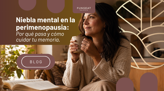 Niebla mental en la perimenopausia: por qué pasa y cómo cuidar tu memoria