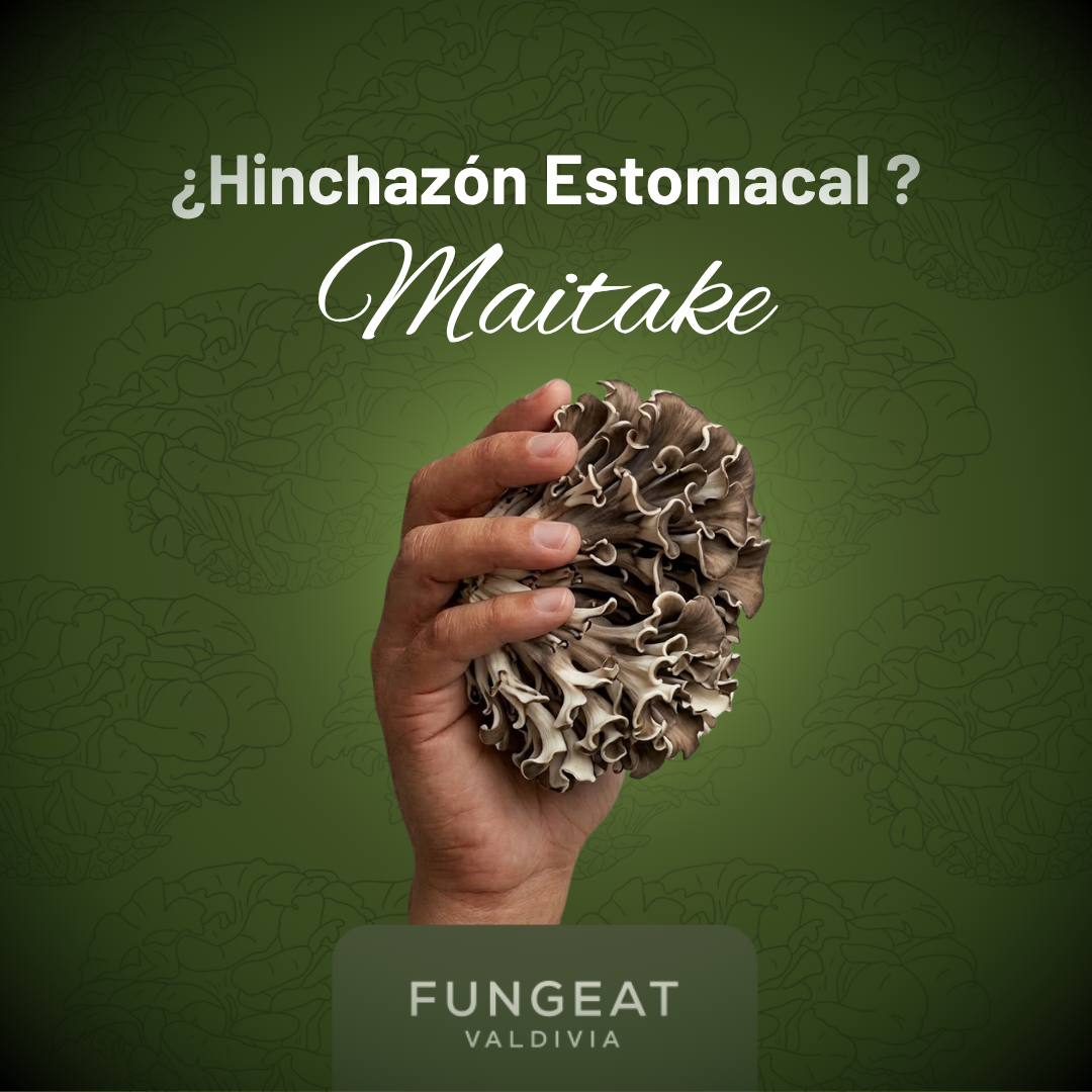 Maitake