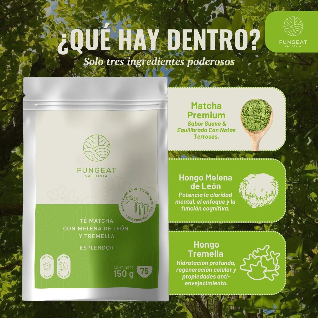 Esplendor Matcha con Melena de Leon y Tremella