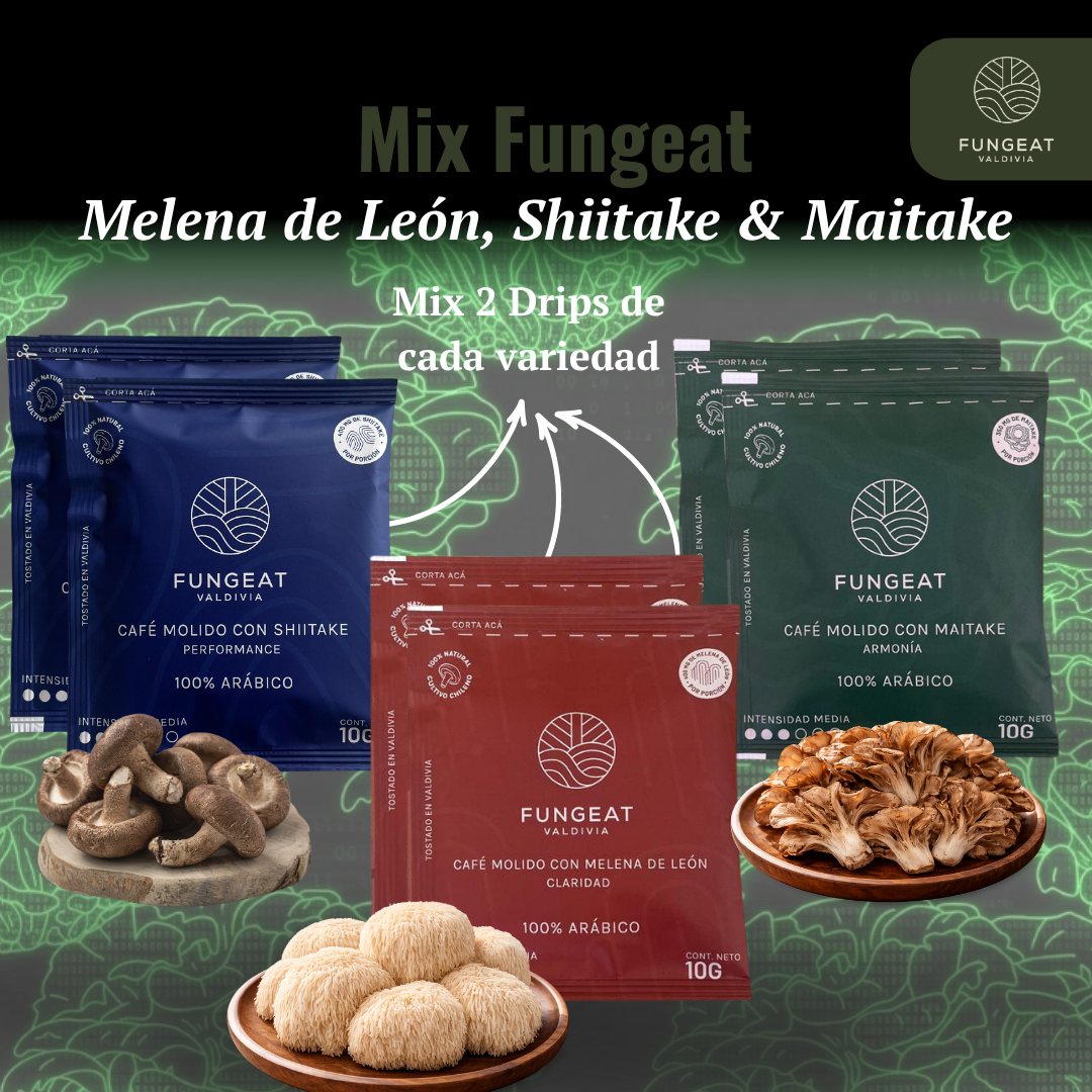 Pack Cyber - Mix Fungeat