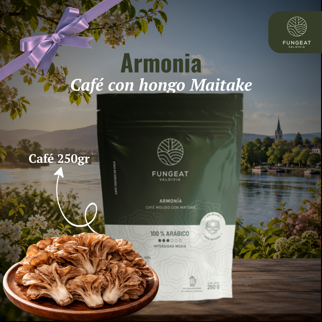 Harmony Coffee with Maitake Mushroom