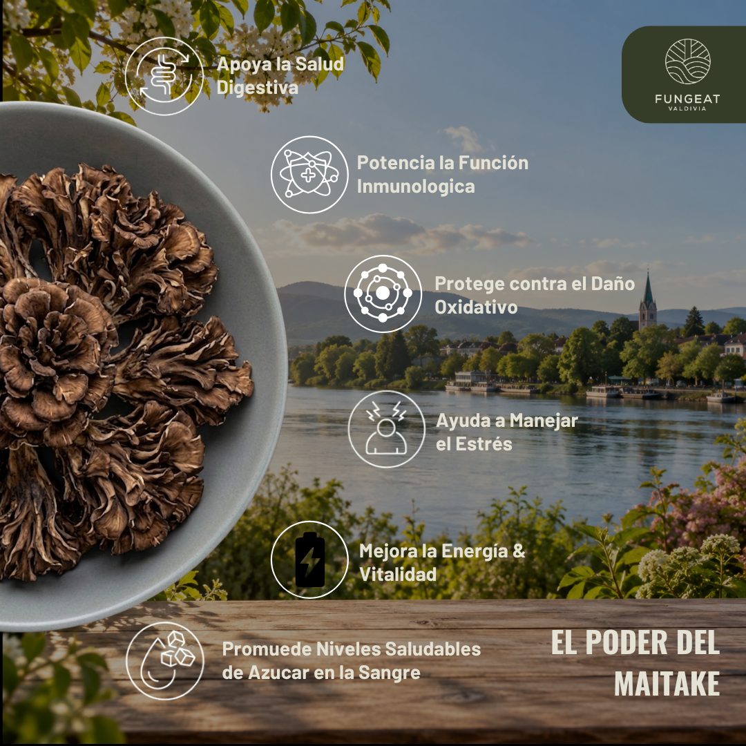 Clarity Coffee with Lion's Mane Mushroom
