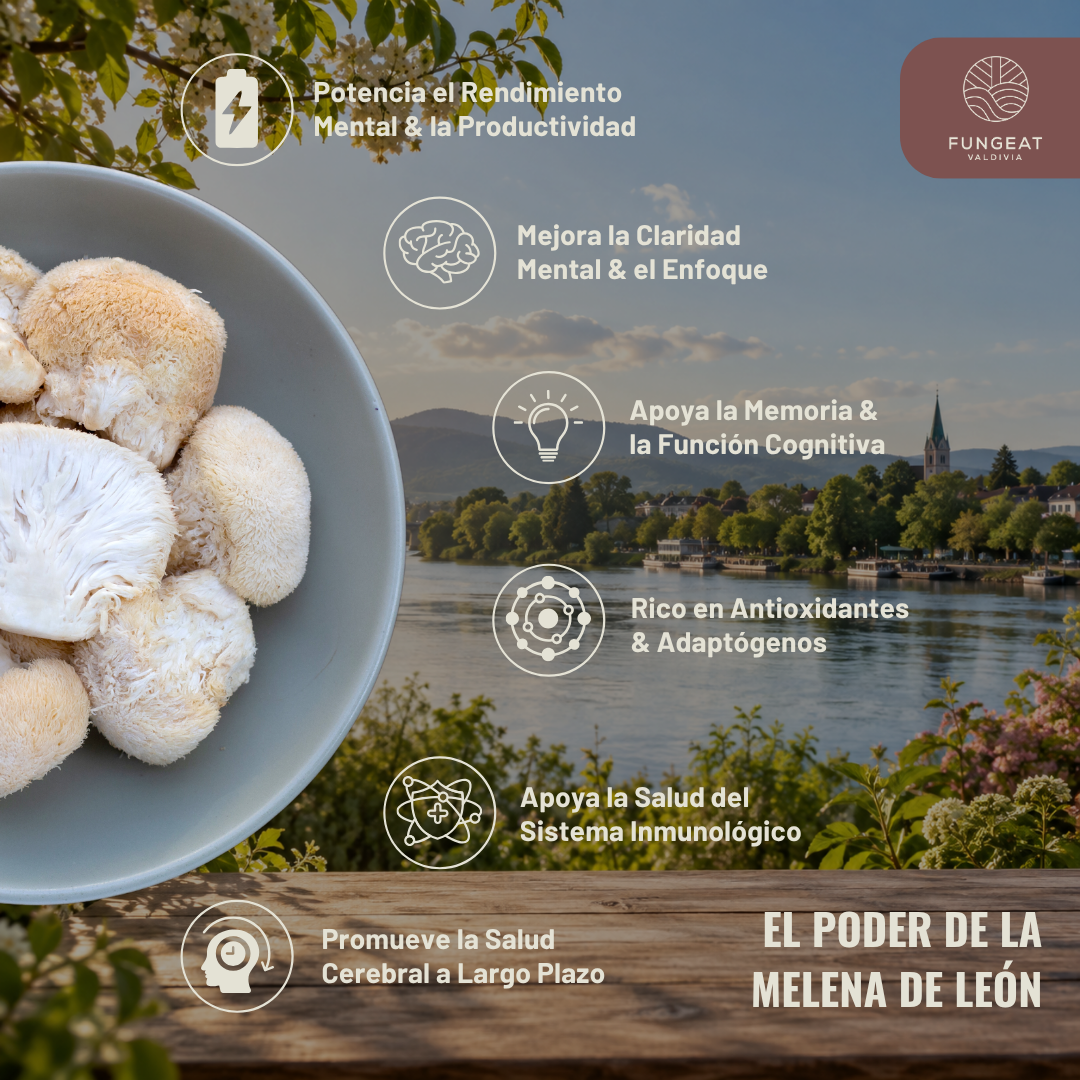 Clarity Coffee with Lion's Mane Mushroom