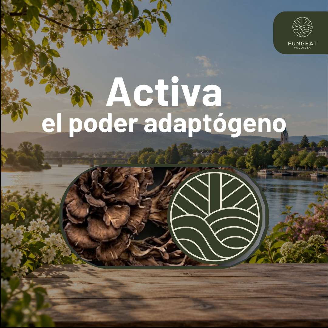 Pack Doble Potencia Armonía (150gr + Ebooks)