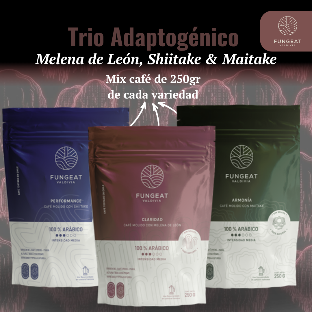 Pack Cyber - Trio Adaptogénico