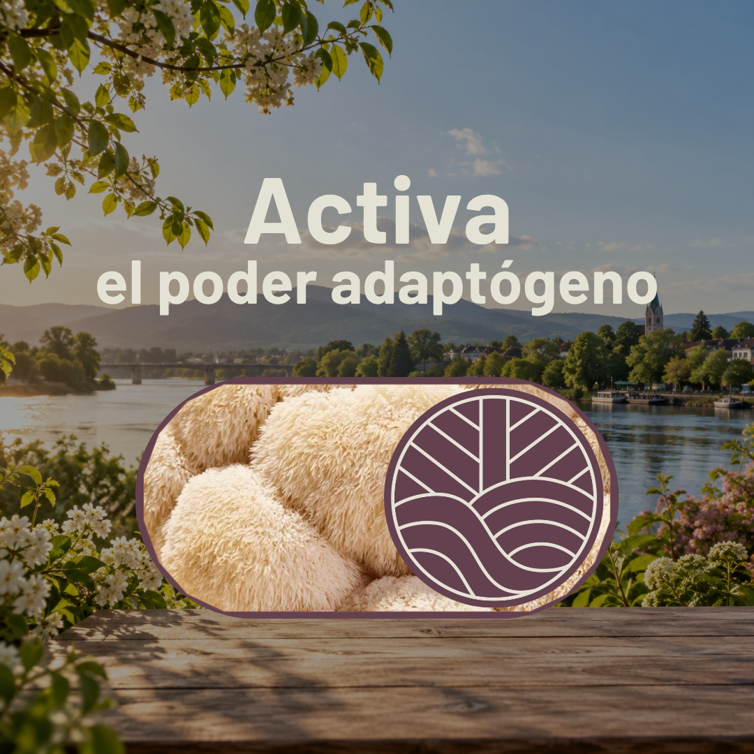 Pack Doble Potencia Té Aura (150gr + Ebooks)