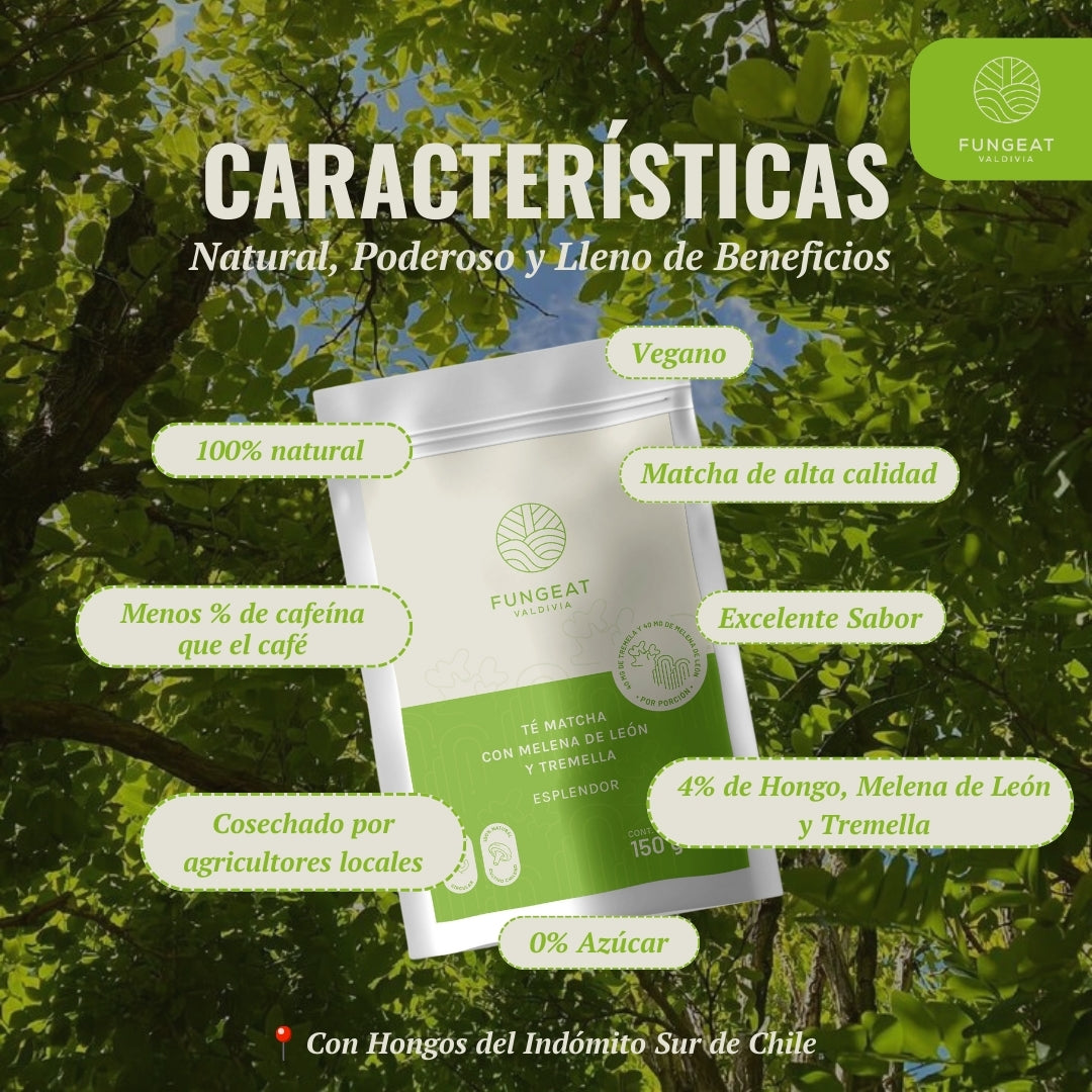 Esplendor Matcha con Melena de Leon y Tremella