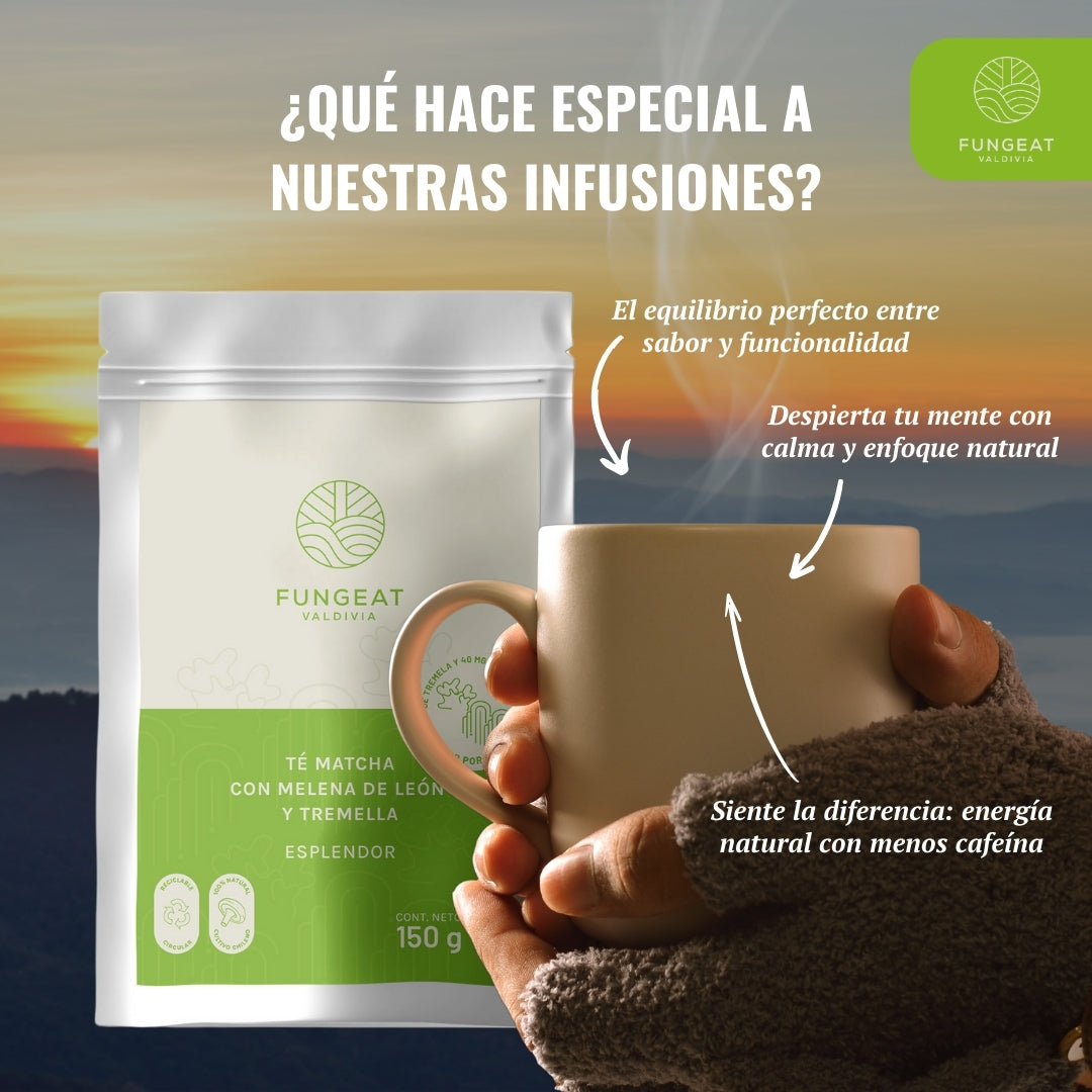 Esplendor Matcha con Melena de Leon y Tremella