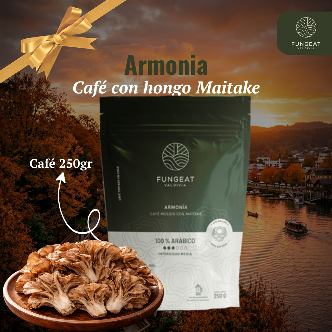 Harmony Coffee with Maitake Mushroom