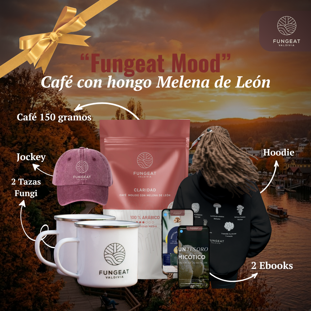 Pack Foco Maestro (150 g) + Merch + 2 Ebooks