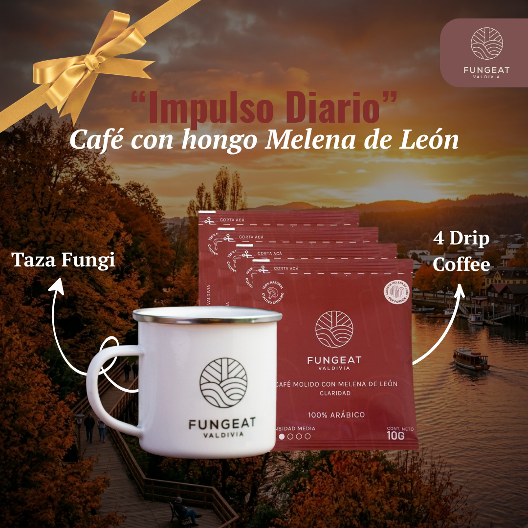 Pack Primer Enfoque Claridad