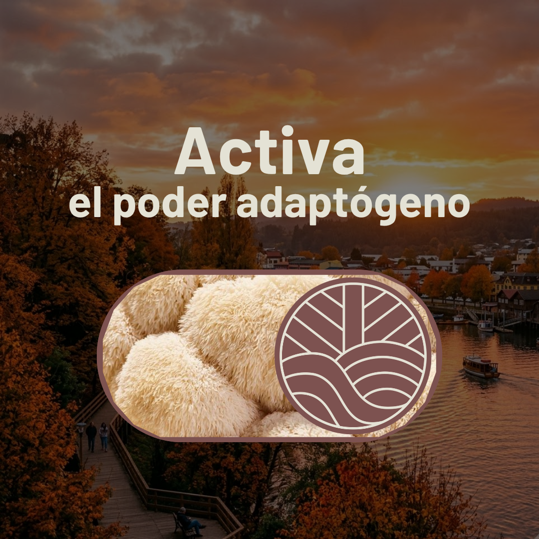 Pack Primer Enfoque Claridad