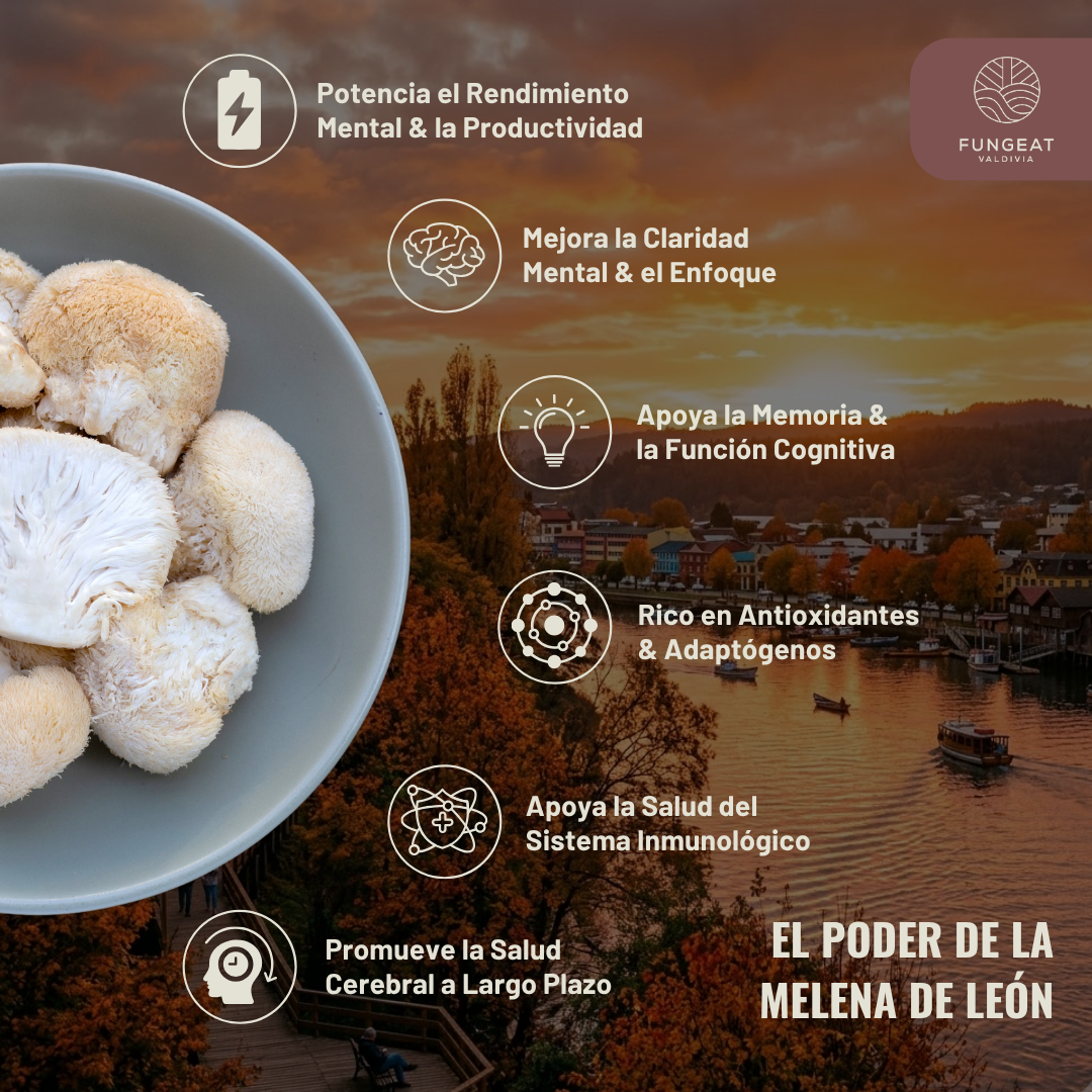 Clarity Coffee with Lion's Mane Mushroom