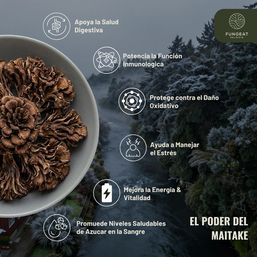 Harmony Coffee with Maitake Mushroom