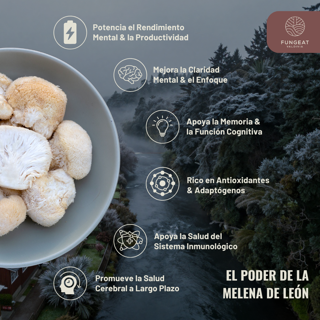 Clarity Coffee with Lion's Mane Mushroom
