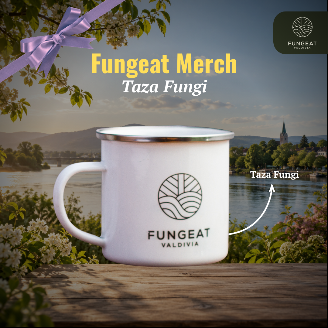 Fungi Taza