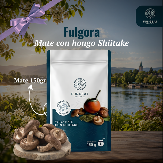 Fulgora Yerba Mate with Cordyceps