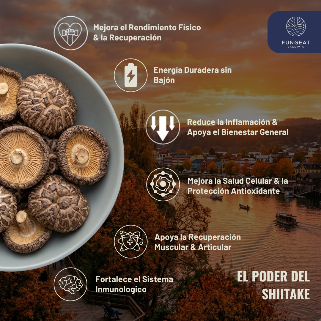 Pack Impulso Diario Performance