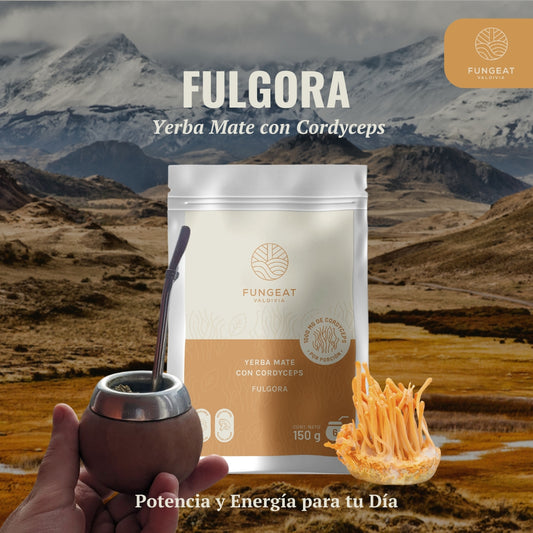 Fulgora Yerba Mate con Cordyceps